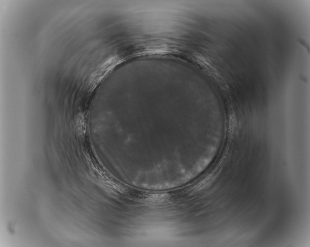 X0000102241353200808221321