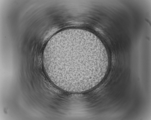 X0000102241354200808221321