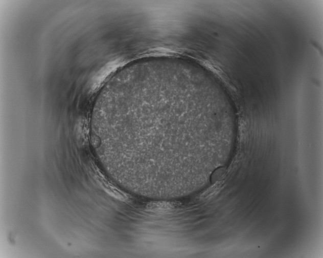 X0000102241355200808221321