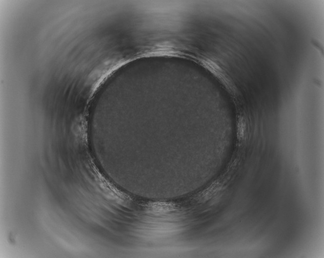 X0000102241356200808221321