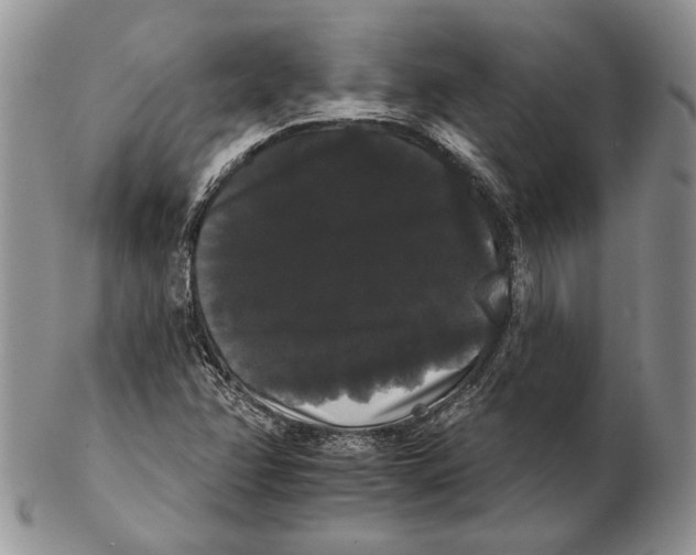 X0000102241358200808221321