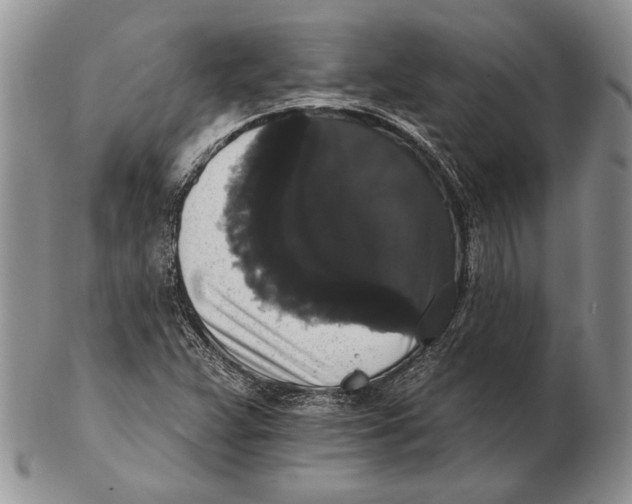 X0000102241359200808221321