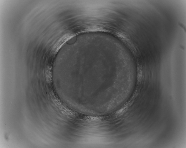 X0000102241361200808221321