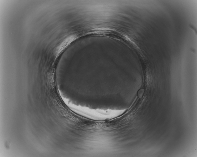 X0000102241362200808221321