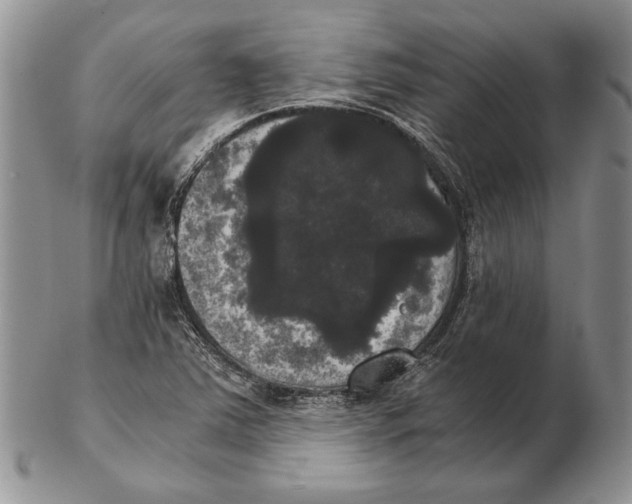 X0000102241363200808221321