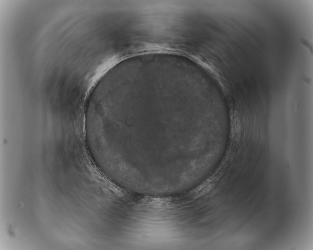 X0000102241365200808221321