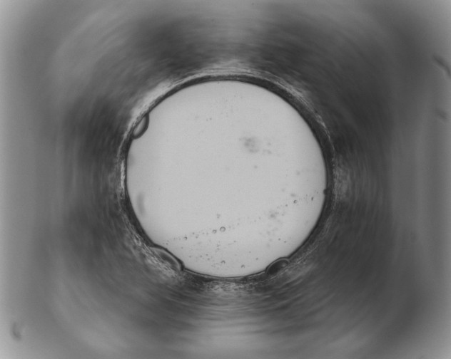 X0000102241366200808221321