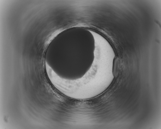 X0000102241367200808221321