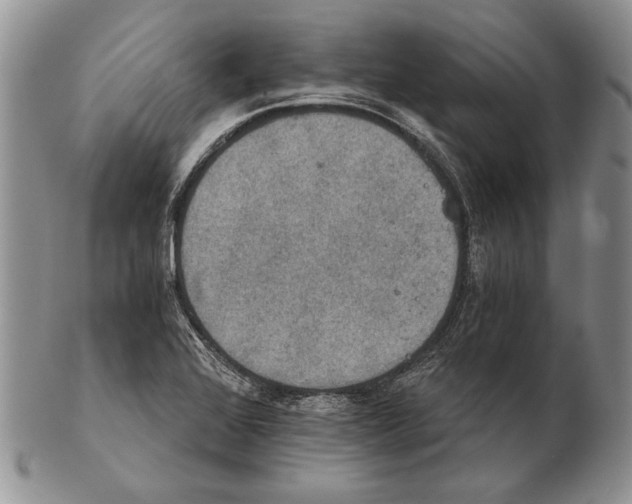 X0000102241368200808221321