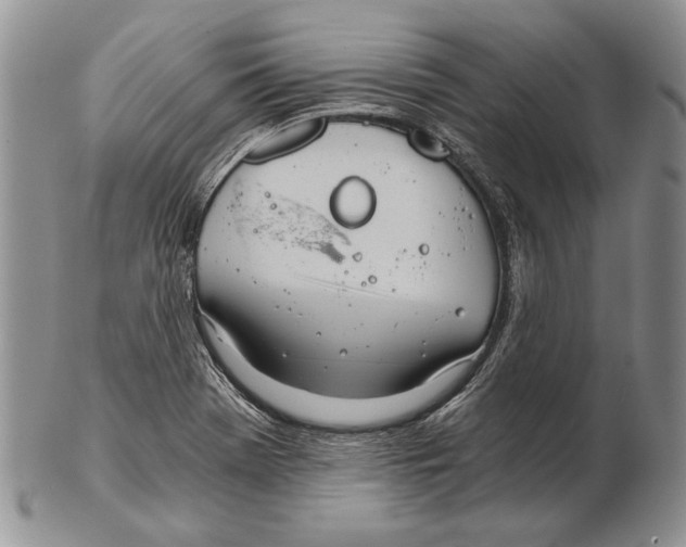 X0000102241369200808221321