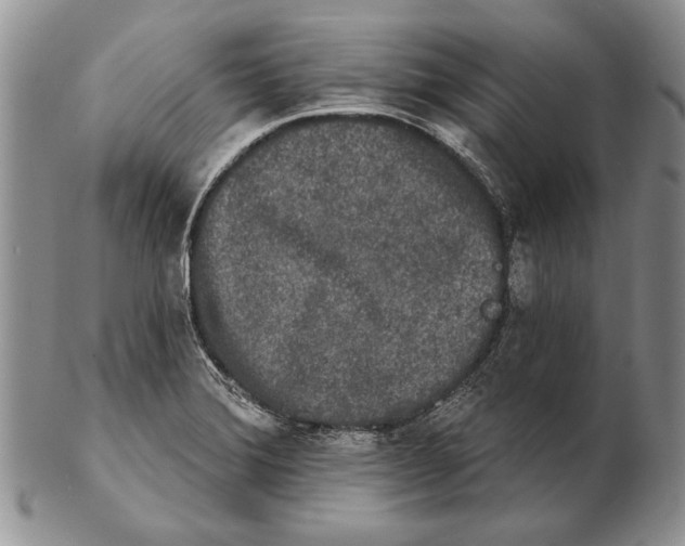 X0000102241372200808221321