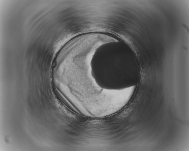 X0000102241373200808221321