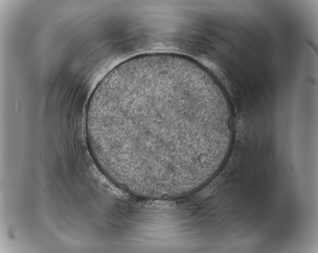 X0000102241374200808221321