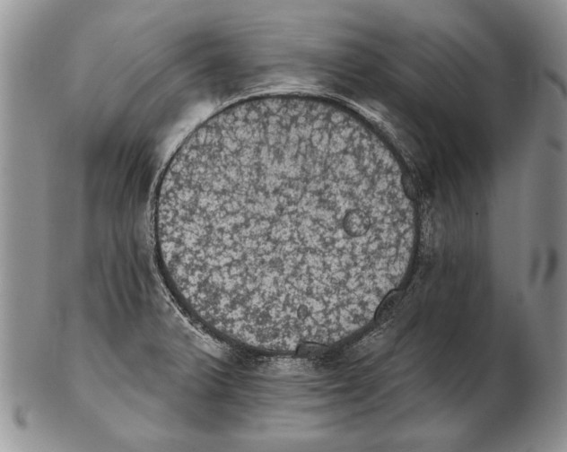 X0000102241375200808221321