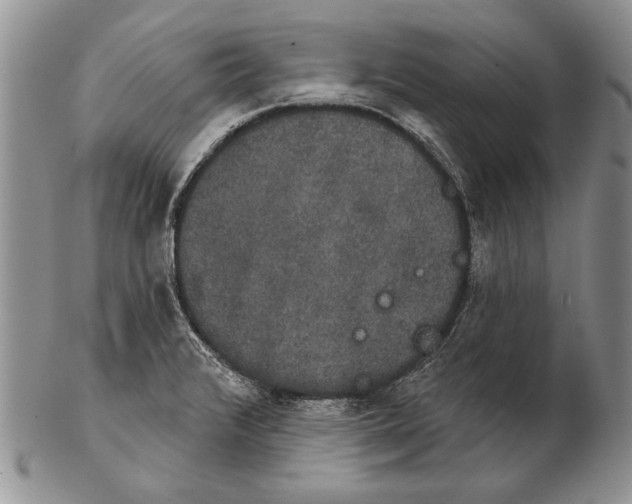 X0000102241376200808221320