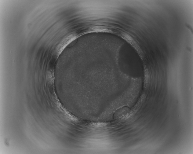 X0000102241377200808221320