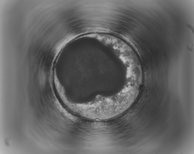 X0000102241379200808221320