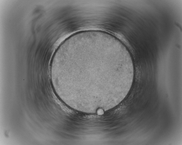 X0000102241380200808221320