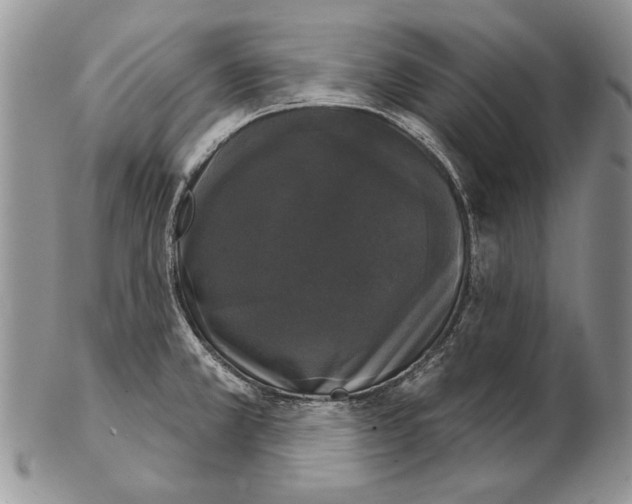 X0000102241381200808221320