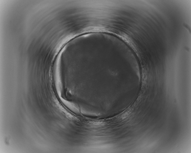 X0000102241382200808221320