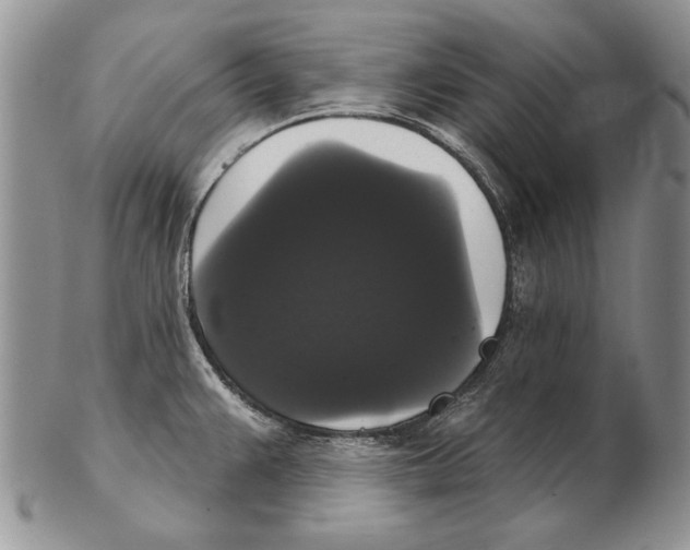 X0000102241383200808221320