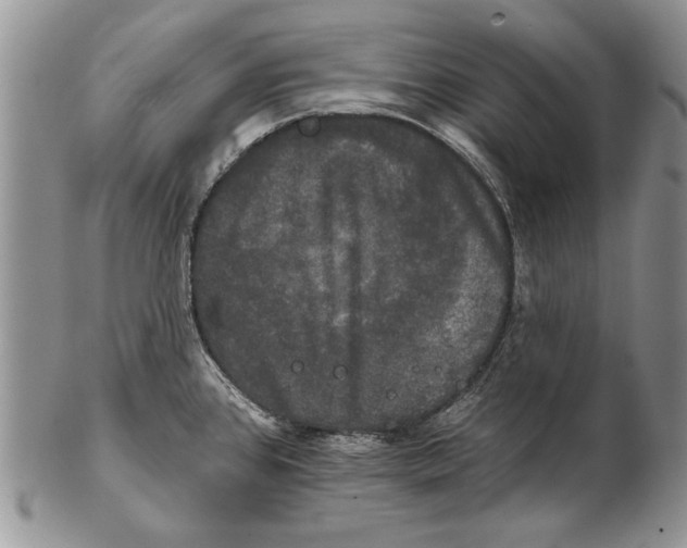 X0000102241384200808221320