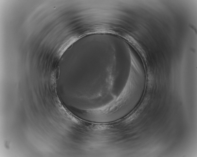 X0000102241385200808221320