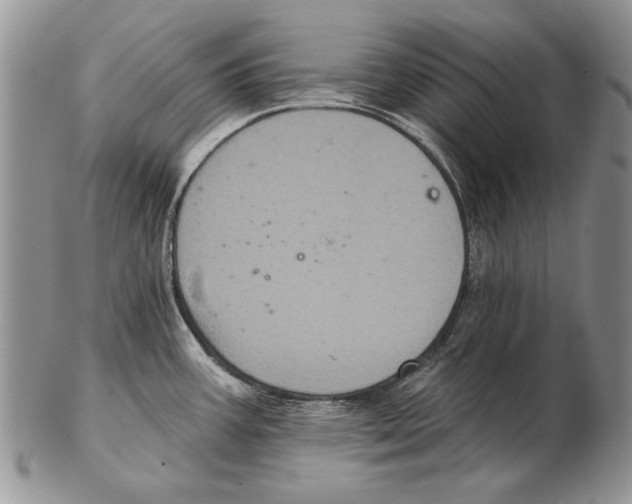 X0000102241387200808221320