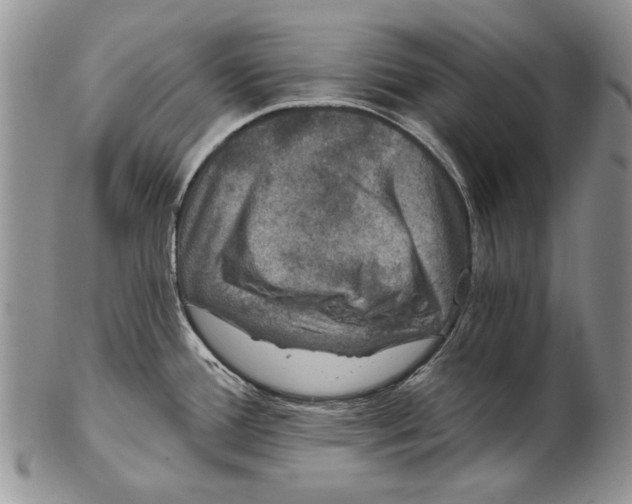 X0000102241388200808221320