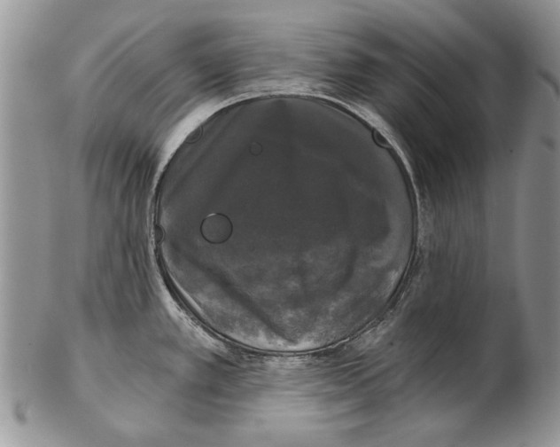 X0000102241389200808221320