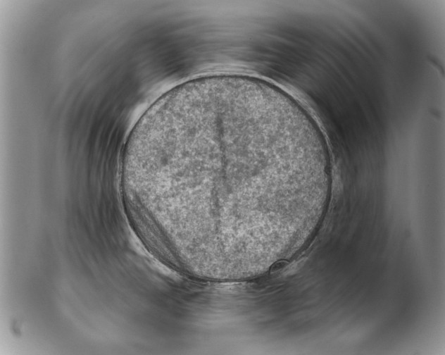 X0000102241390200808221320