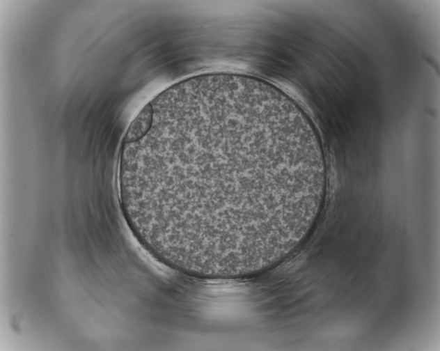 X0000102241391200808221320