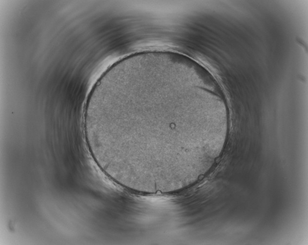 X0000102241392200808221320