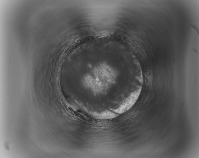 X0000102241393200808221320