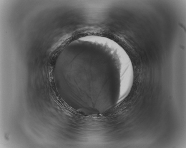 X0000102241399200808221320