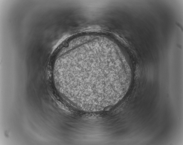 X0000102241400200808221320