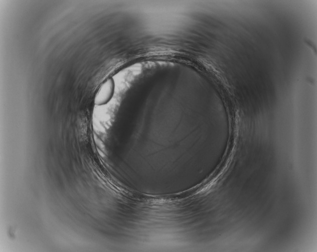 X0000102241401200808221320