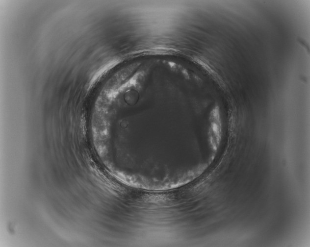 X0000102241402200808221320