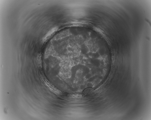 X0000102241403200808221320