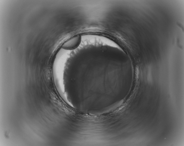 X0000102241405200808221320