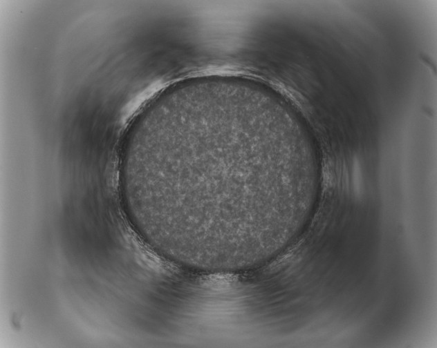 X0000102241406200808221320