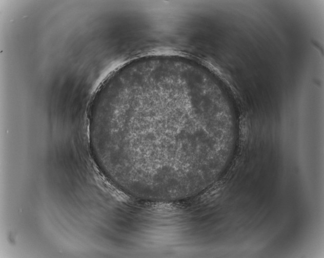 X0000102241408200808221320