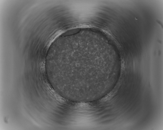 X0000102241409200808221320