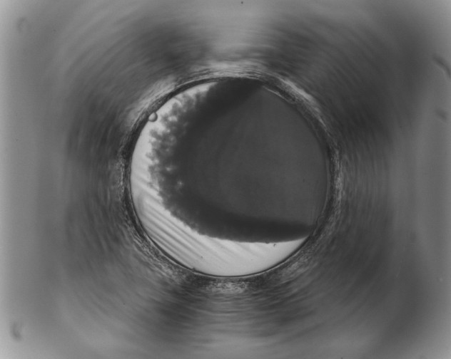 X0000102241411200808221320