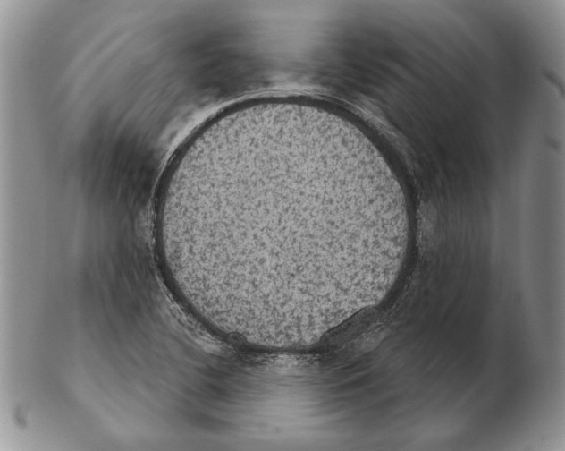 X0000102241412200808221320