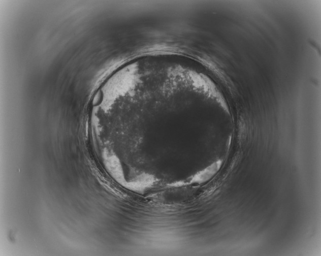 X0000102241413200808221320