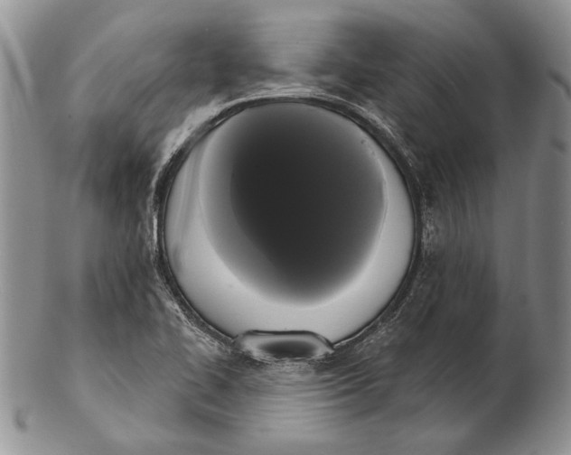 X0000102241414200808221320