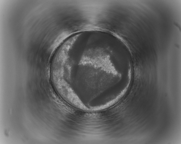 X0000102241415200808221320