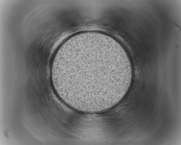 X0000102241416200808221320