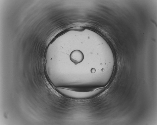 X0000102241417200808221320